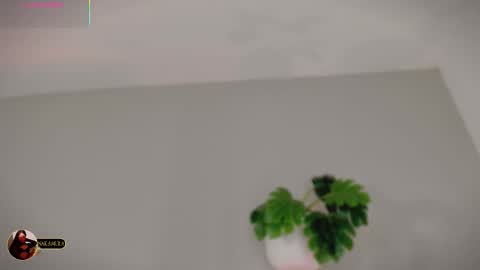 INSTAGRAM  m2221     online show from 3, 3, 2026