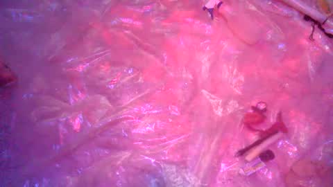 nakednate1780 online show from 23, 12, 2024