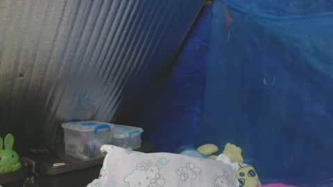 IamYourSafeHaven online show from 18, 2, 2025