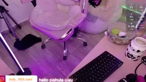 nami_usagi online show from 29, 4, 2026