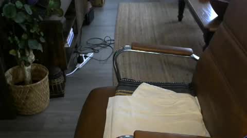 nareth338 online show from 8, 4, 2026