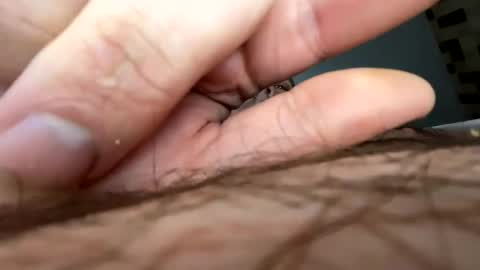 narutotheone online show from 2, 2, 2026