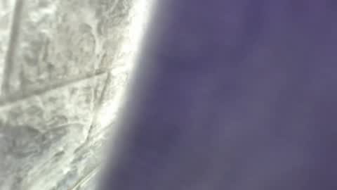 Snapshot of natalieevansx chatting on 16, 11, 2025 natalieevansx online show from 16, 11, 2025