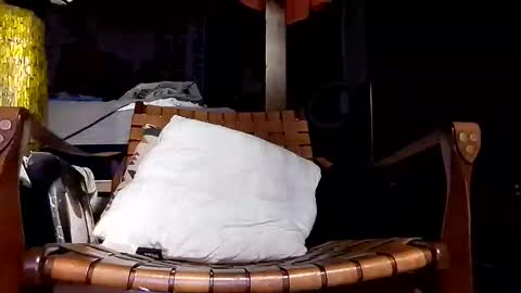 Haven online show from 20, 4, 2026