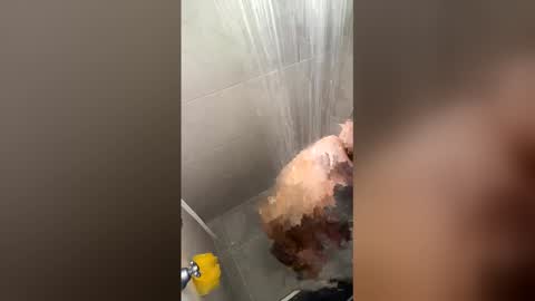 Joyci Lima online show from 23, 3, 2026