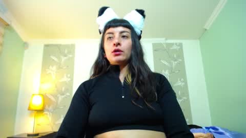 Kitten online show from 7, 1, 2025