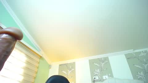 Kitten online show from 8, 1, 2025