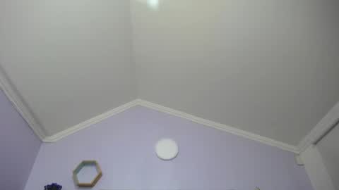Kitten online show from 25, 1, 2025