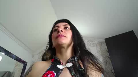 Kitten online show from 22, 12, 2025