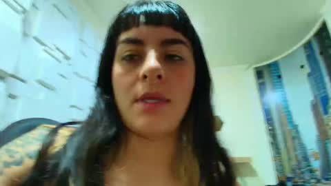 Kitten online show from 11, 2, 2026