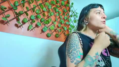 Kitten online show from 11, 4, 2026