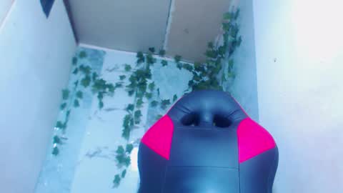 Snapshot of negri_hot_crazy chatting on 12, 2, 2026 negrita online show from 12, 2, 2026