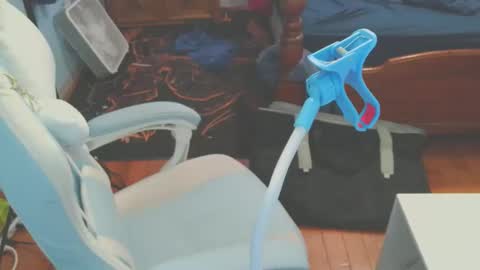 NekoKittenz online show from 25, 2, 2026