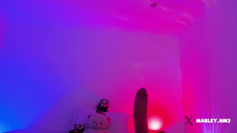 xd online show from 14, 12, 2025