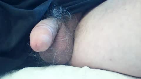 neohiom4f online show from 1, 4, 2026