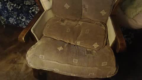 Lilly  online show from 2, 2, 2025