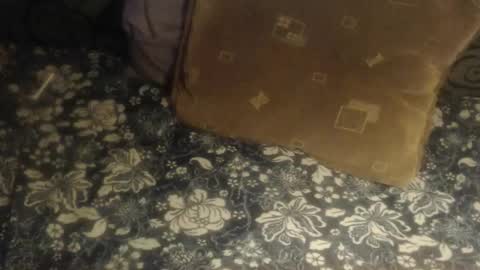 Lilly  online show from 28, 11, 2025