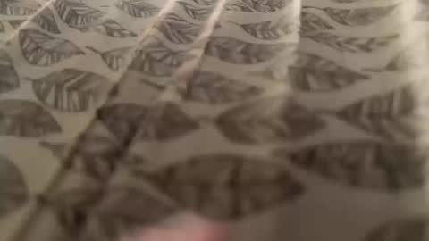 Snapshot of newby101 chatting on 12, 10, 2025 Meow Meow online show from 12, 10, 2025