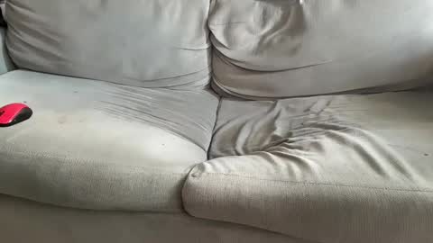 NH online show from 7, 12, 2024