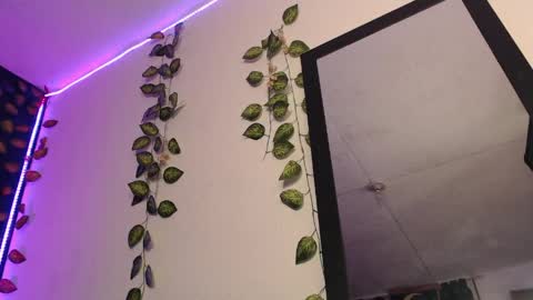  niakat  online show from 9, 4, 2026