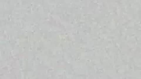 nicol_ross19 online show from 5, 4, 2026