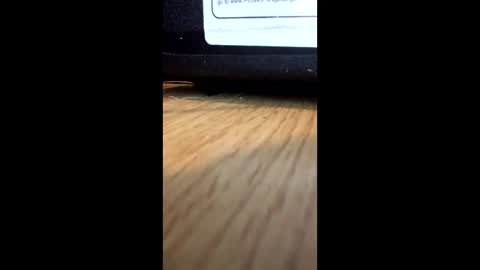 nightmoves1970 online show from 2, 12, 2025