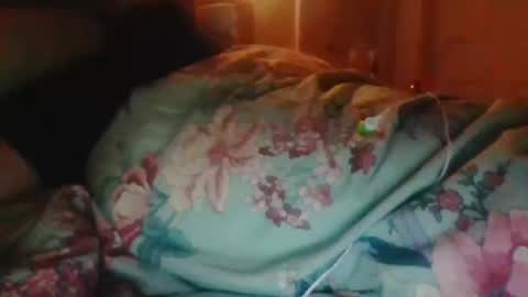 Nijinsky11 online show from 25, 3, 2026