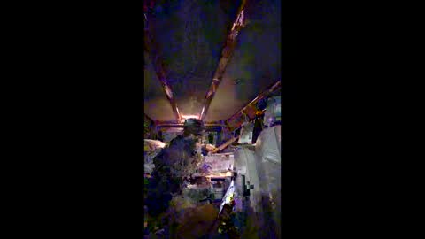 Nike Jude online show from 7, 1, 2026