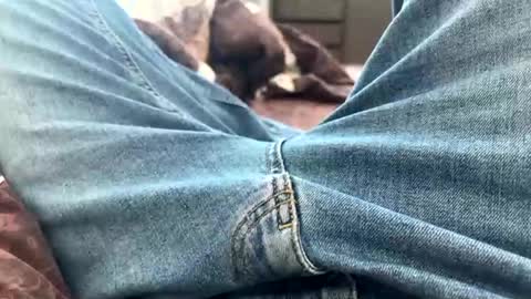 NIk online show from 25, 2, 2025