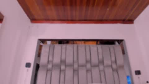     online show from 25, 11, 2025