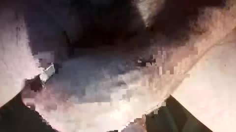 hung and handsome online show from 26, 3, 2026