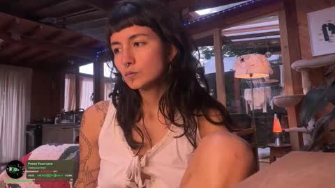 Nina.  online show from 29, 11, 2025