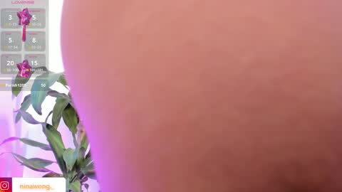 Nina online show from 6, 4, 2026