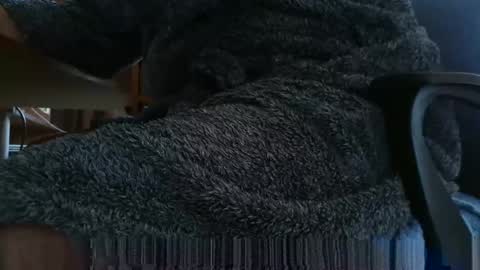 nineinchhard online show from 4, 3, 2025