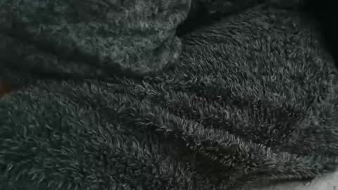 nineinchhard online show from 14, 9, 2025