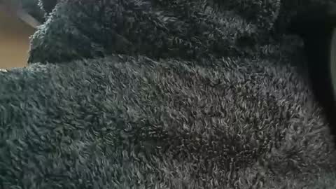 nineinchhard online show from 1, 4, 2026