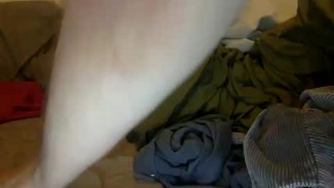 Snapshot of noah19999997 chatting on 28, 9, 2025 Noah Warren online show from 28, 9, 2025