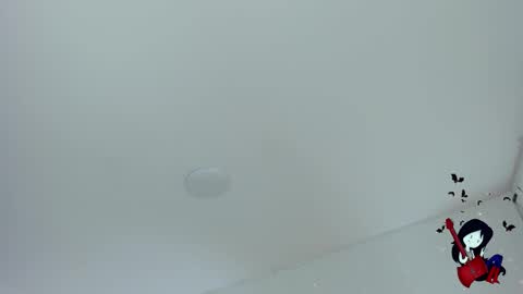 Noah  online show from 29, 10, 2025