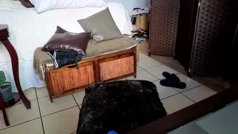 nobudget06 online show from 25, 2, 2025