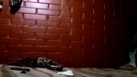 Snapshot of nocturnus1980 chatting on 2, 2, 2026 nocturnus1980 online show from 2, 2, 2026