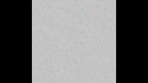 Snapshot of noemie_fox chatting on 11, 1, 2026 Nomie Fox online show from 11, 1, 2026