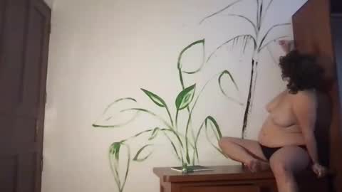 Nola online show from 31, 1, 2025