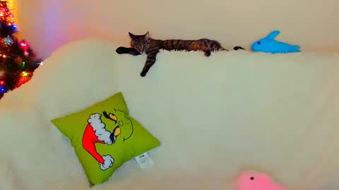 hi glad to chat online show from 26, 12, 2024