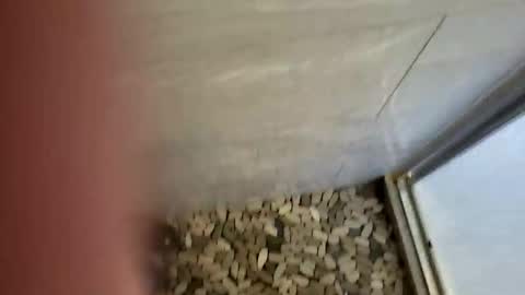 notme710 online show from 22, 12, 2025