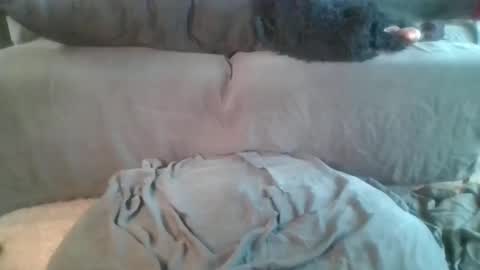 Nova online show from 19, 4, 2026