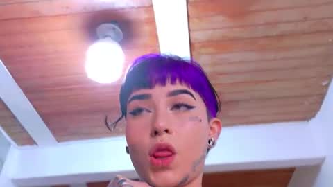 Nova kitty tx online show from 15, 4, 2026