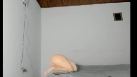 Snapshot of nreus chatting on 8, 10, 2025 nreus online show from 8, 10, 2025