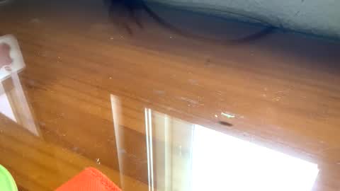 Snapshot of nudistadepilado chatting on 13, 9, 2025 nudistadepilado online show from 13, 9, 2025