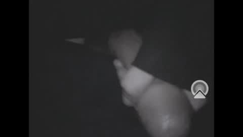 nympham online show from 4, 4, 2026