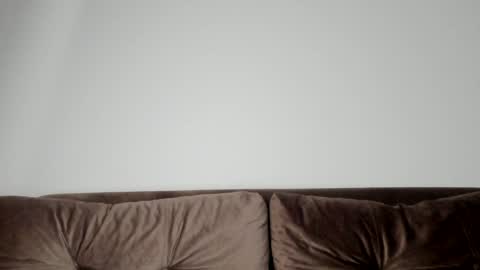 o_r_b_i_t online show from 21, 1, 2025